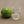 Load image into Gallery viewer, Tequila Aficionado Shot-of-Tequila Kit Shot Glass - Here&#39;s To Ya, LLC
